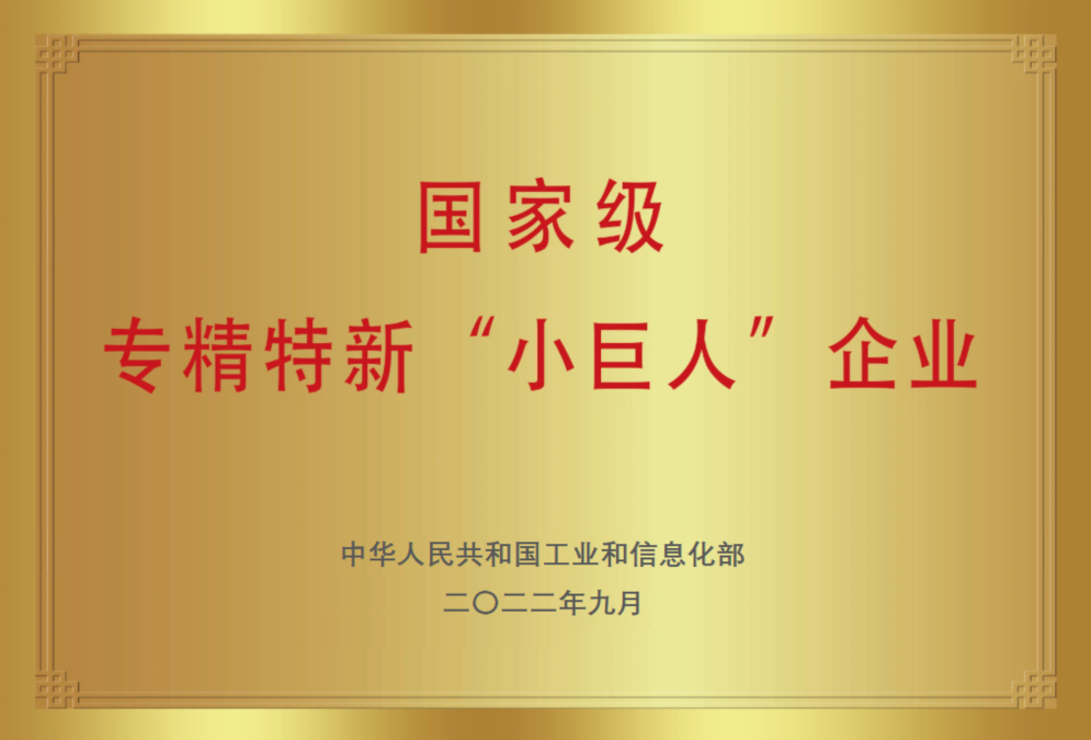 國家級專精特新小巨人企業